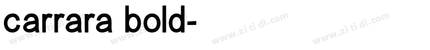 carrara bold字体转换